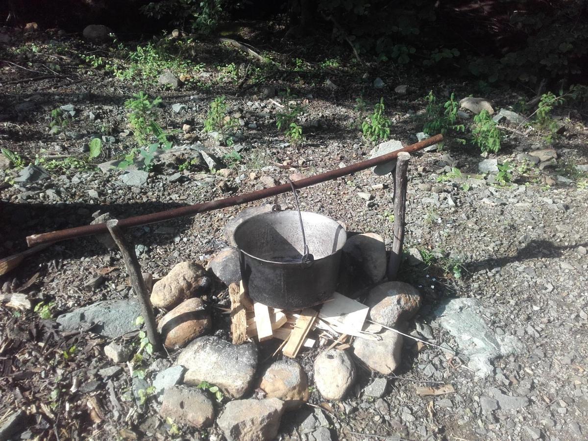 Cabana Alpha Baia Mare Buitenkant foto
