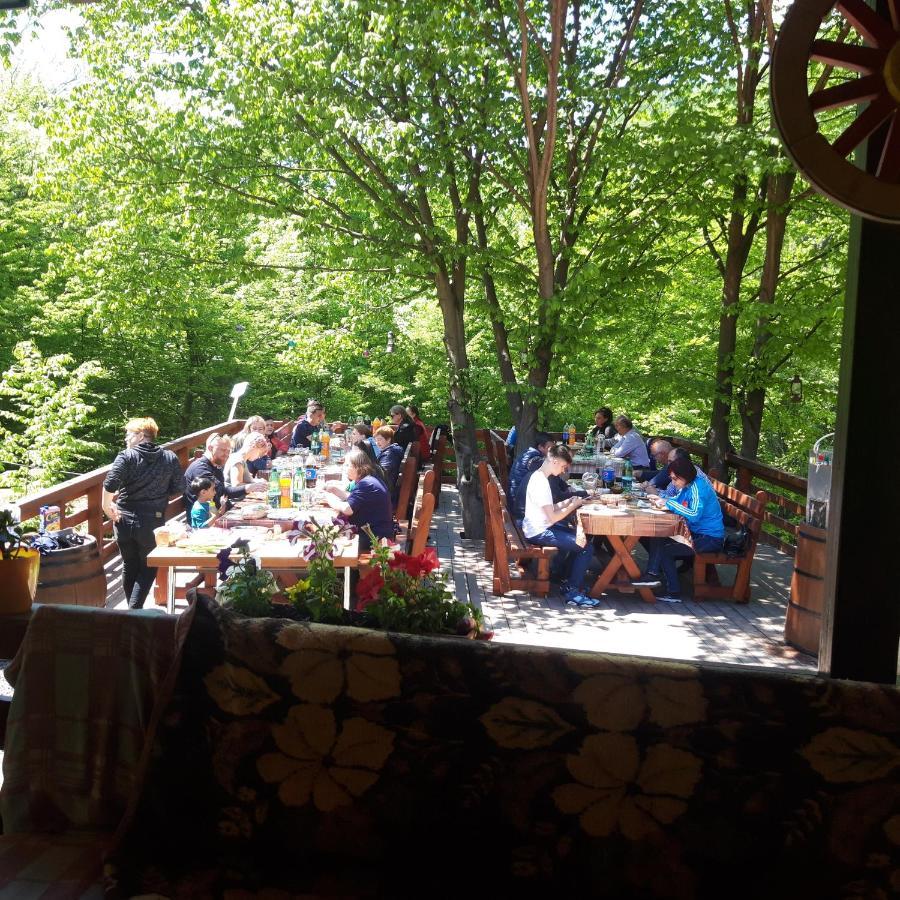 Cabana Alpha Baia Mare Buitenkant foto