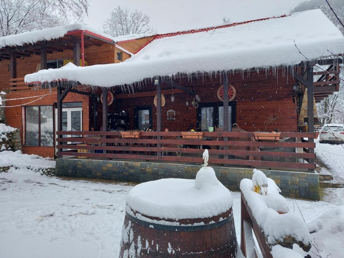 Cabana Alpha Baia Mare Buitenkant foto