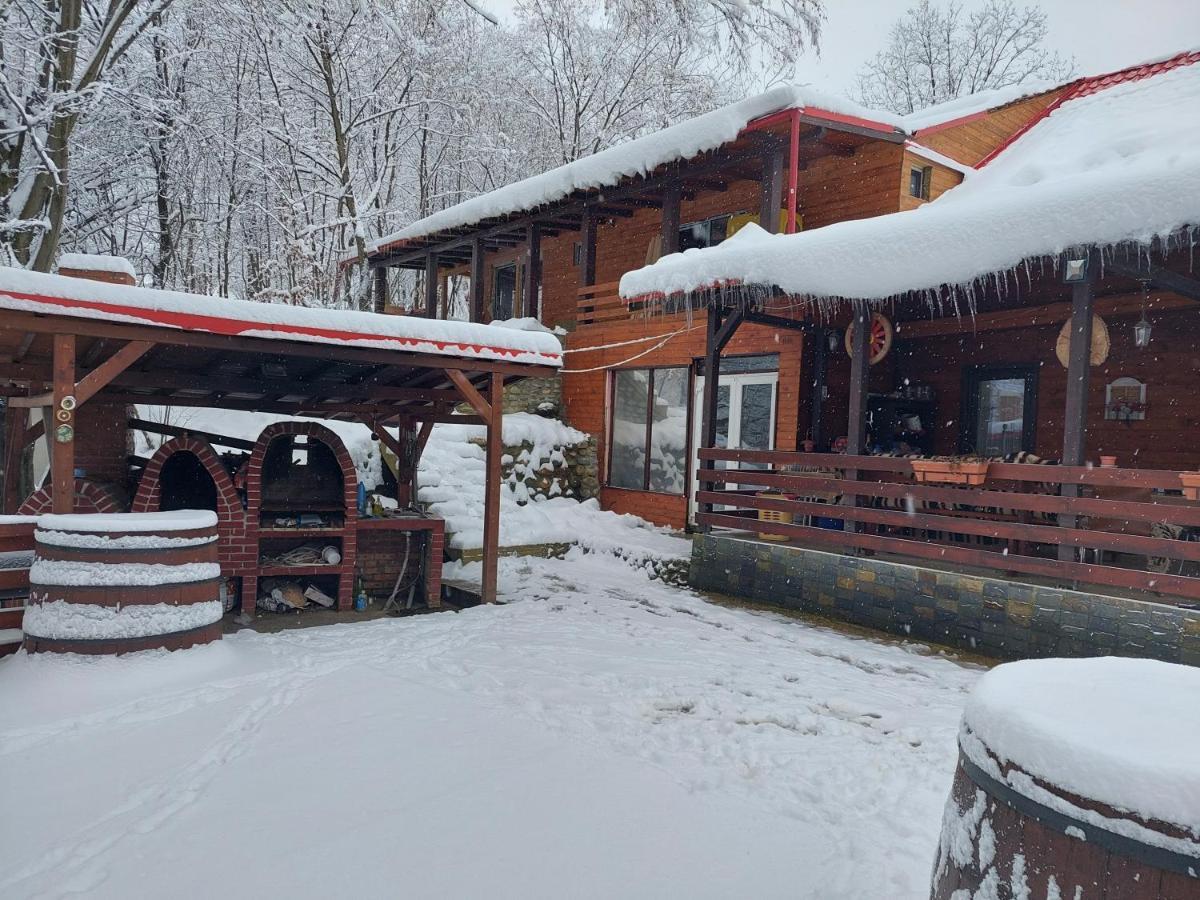 Cabana Alpha Baia Mare Buitenkant foto