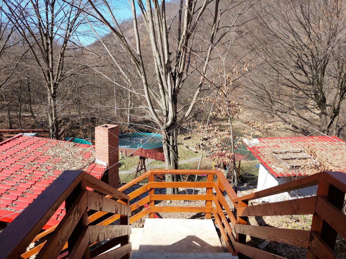 Cabana Alpha Baia Mare Buitenkant foto