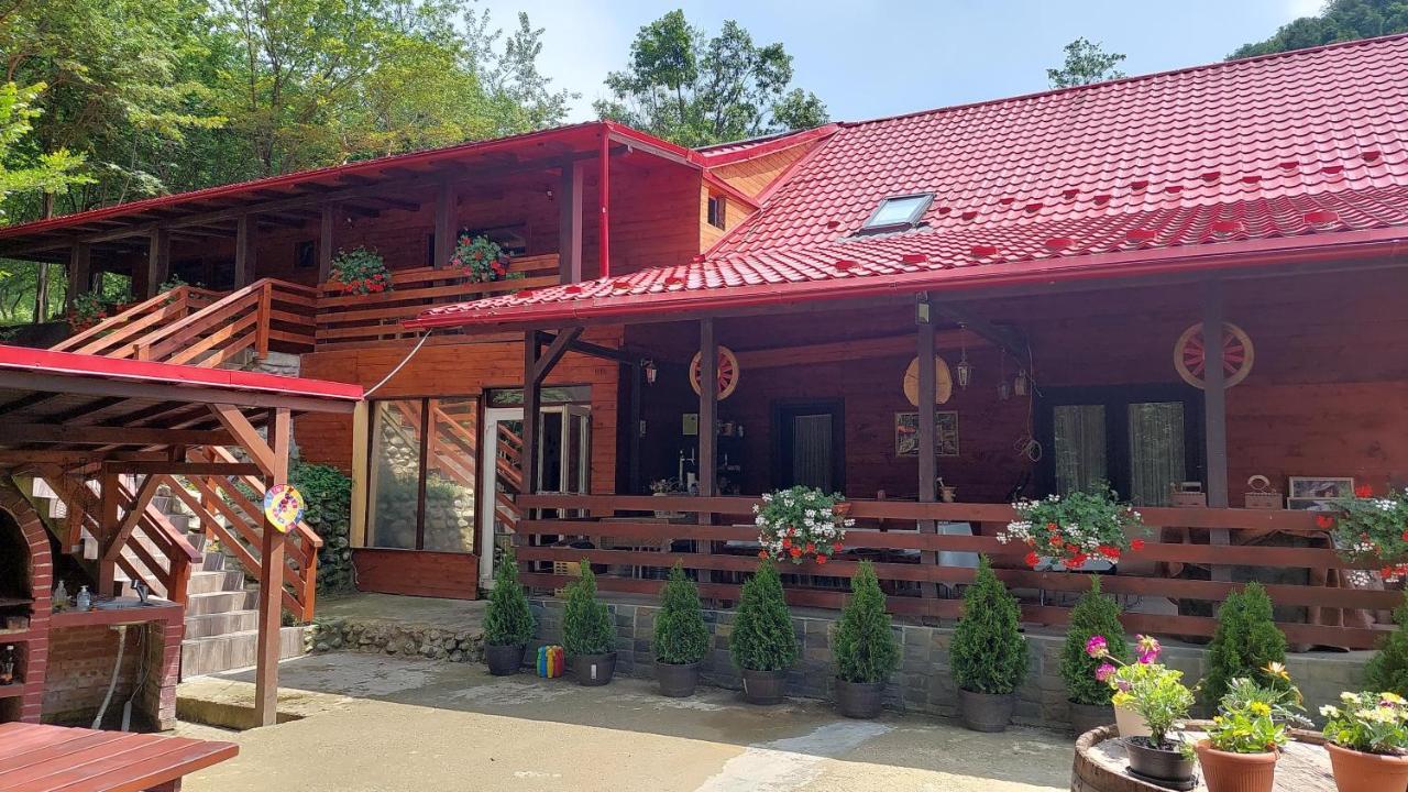 Cabana Alpha Baia Mare Buitenkant foto