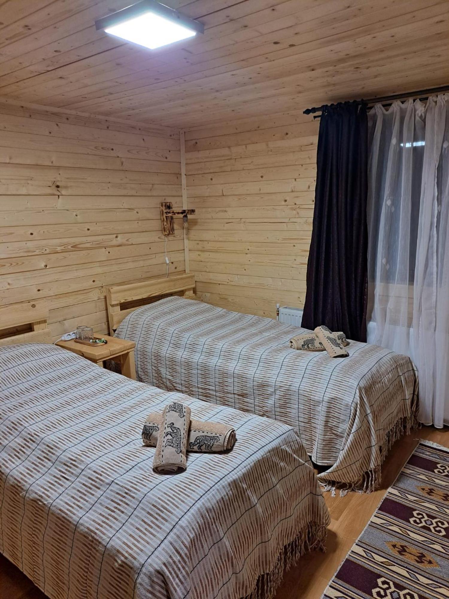 Cabana Alpha Baia Mare Buitenkant foto