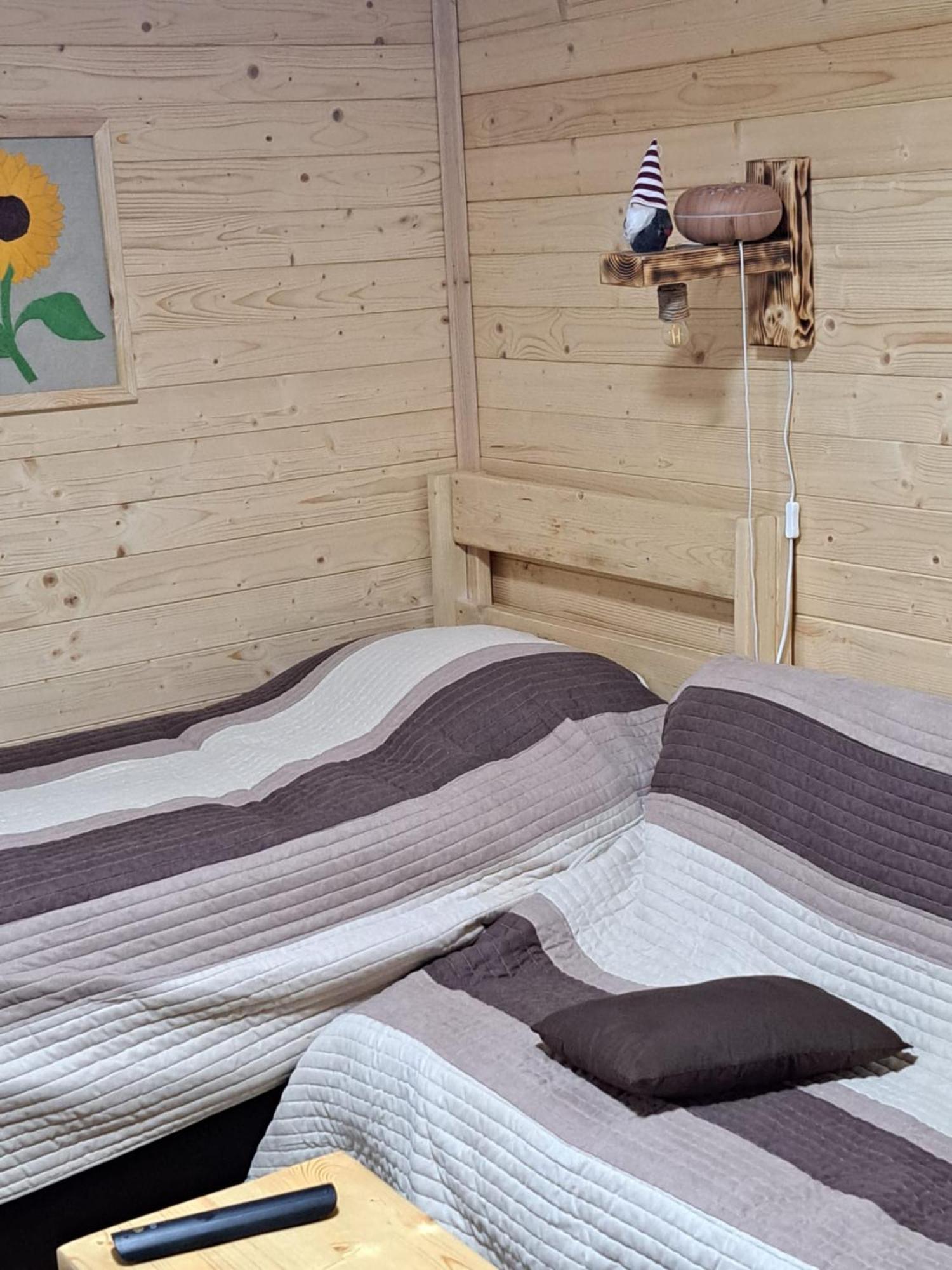 Cabana Alpha Baia Mare Buitenkant foto