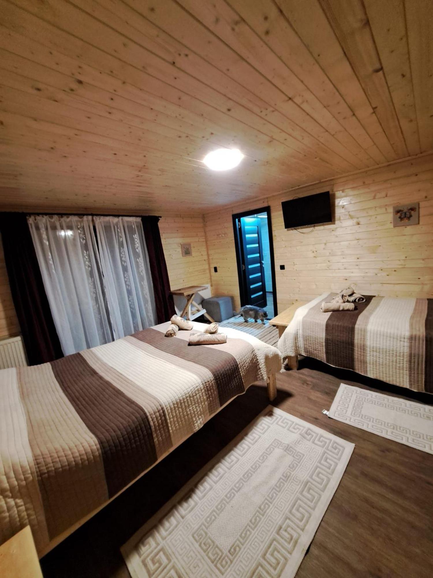 Cabana Alpha Baia Mare Buitenkant foto
