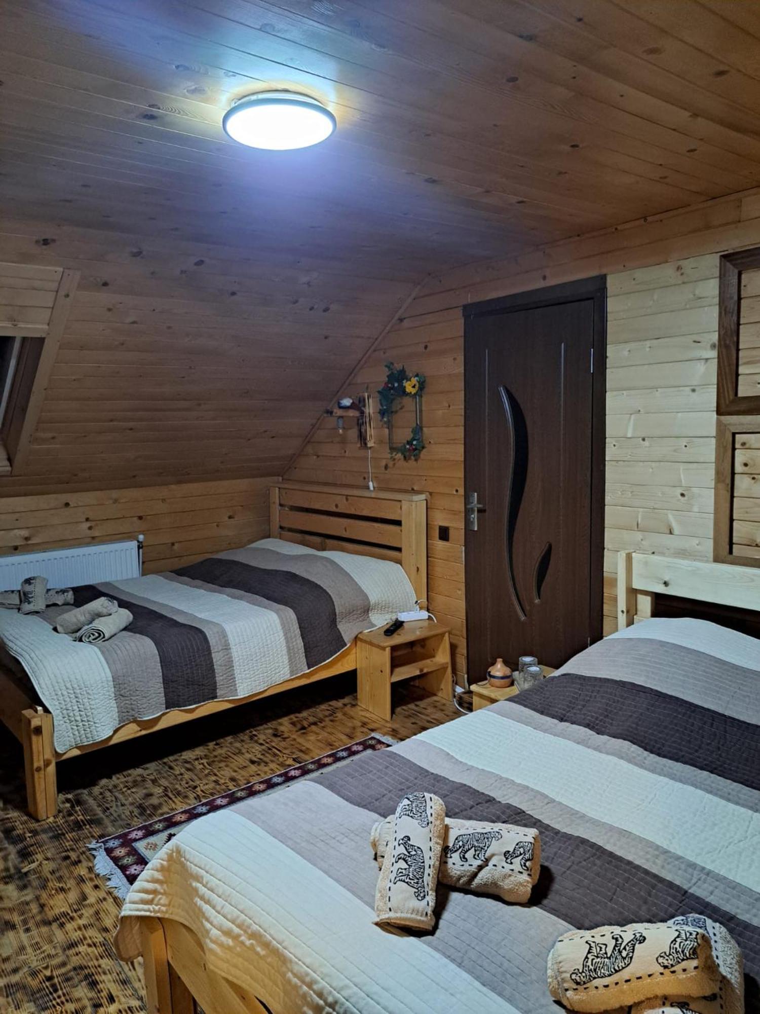 Cabana Alpha Baia Mare Buitenkant foto
