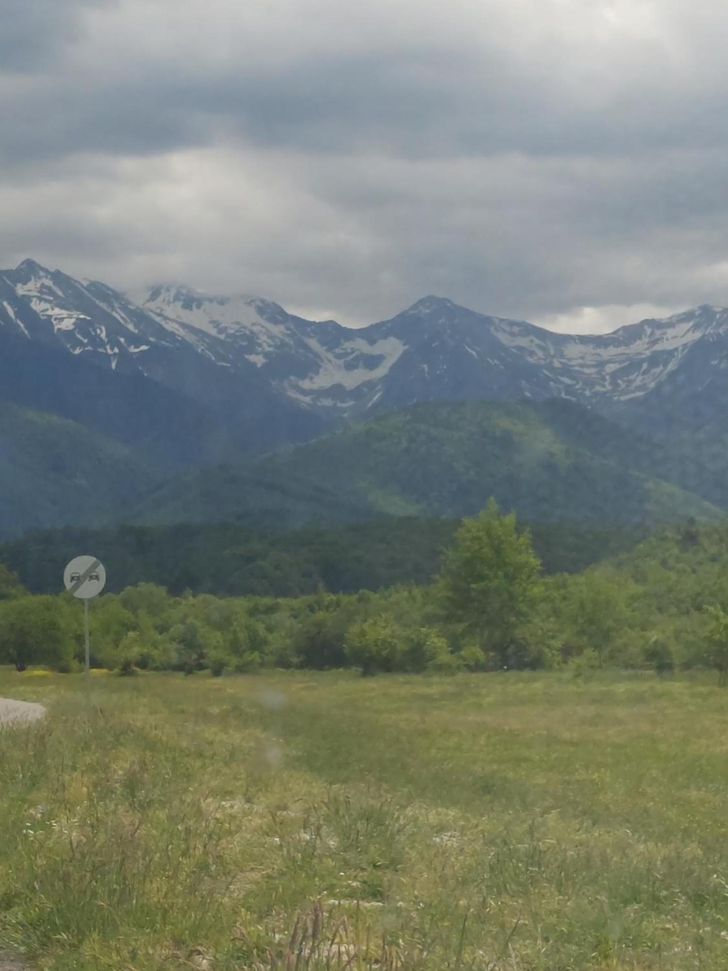 Cabana Alpha Baia Mare Buitenkant foto
